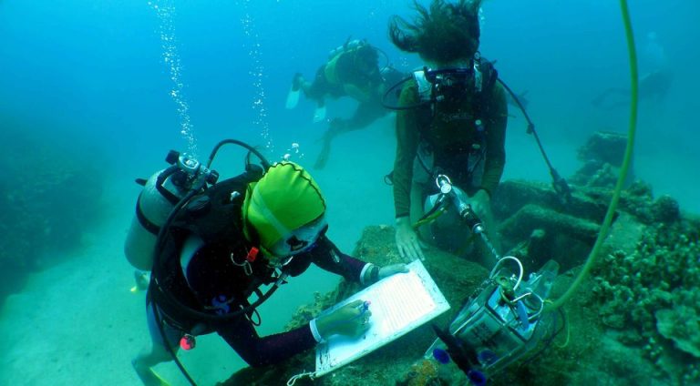 水下和航海考古的职业和工作