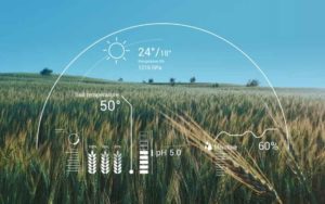 人工智能和机器学习在农业中的应用