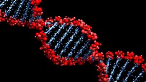 关于生物信息学和基因组学的最佳在线课程
