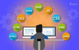best courses on web development online