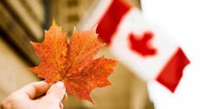 加拿大的PG文凭或MS -哪个更好?