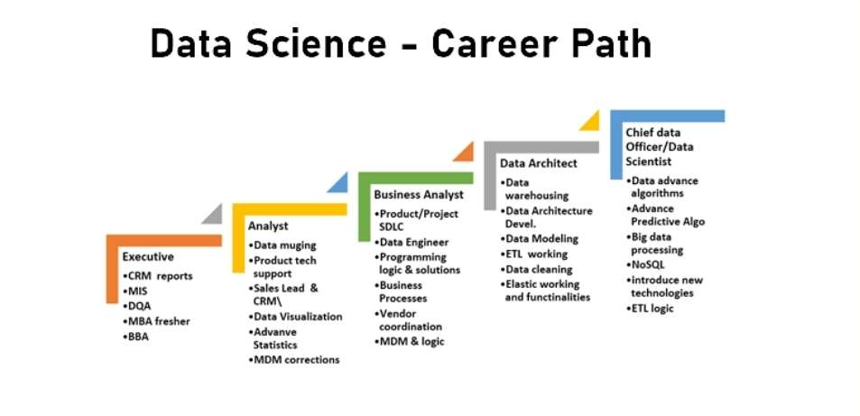 数据科学职业道路